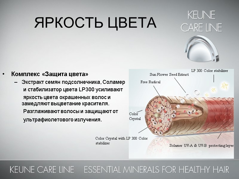 Комплекс «Защита цвета» Экстракт семян подсолнечника, Соламер       